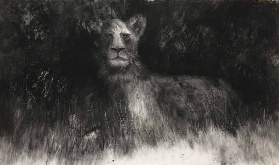large format charcoal painting lioness african safari 68x90