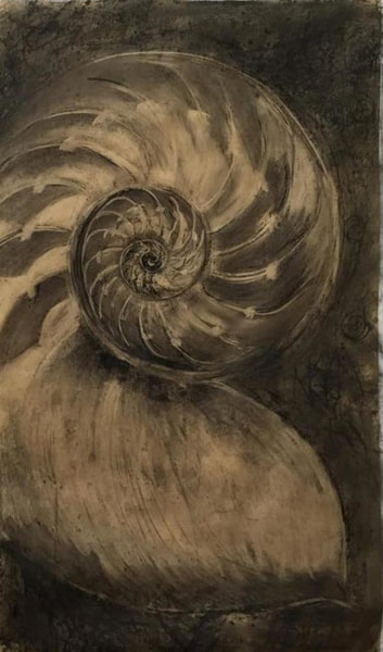 large format nautilus black and gold in charcoal 72x40