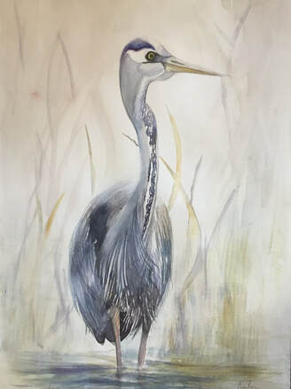 watercolor painting crane at steamboat springs crane festival 24x30