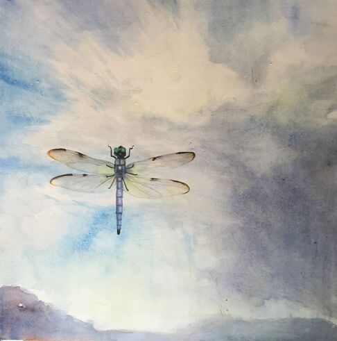 dragonfly watercolor painting on blue sky