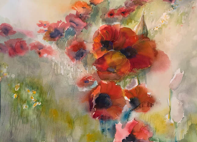 large format poppies in field watercolor painting