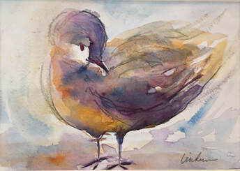 baby tern on the beach watercolor painting